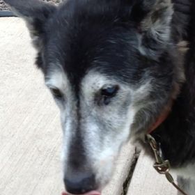 Profile Picture of Heather Couture (@heacouture) on Pinterest