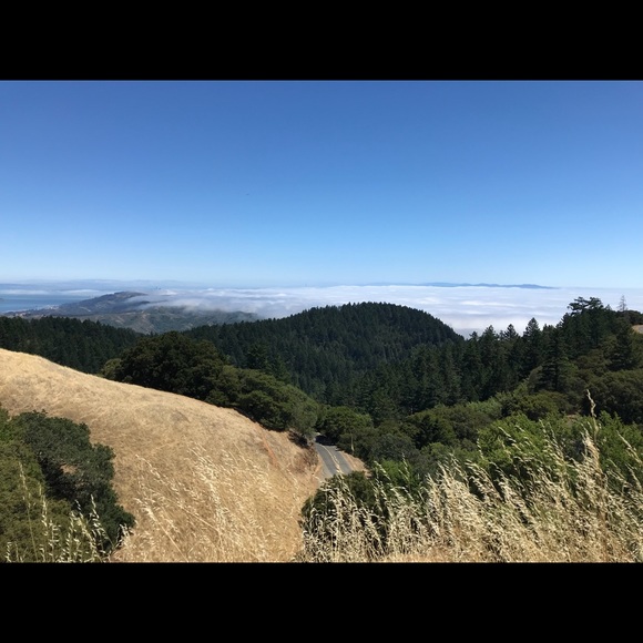 Profile Picture of Kira Shaffar (@kas237) on Poshmark