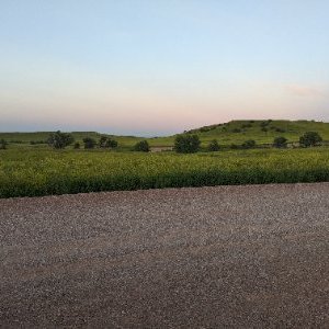 Profile Picture of Ben Seligman (@seligmanben) on Twitter