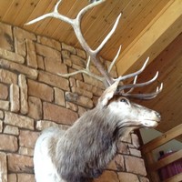 Profile Picture of Andrew Cloran (@andrew-cloran) on Quora