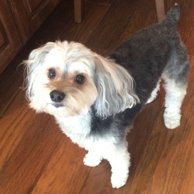 Profile Picture of Lisa Barker (@ellemmebee) on Twitter