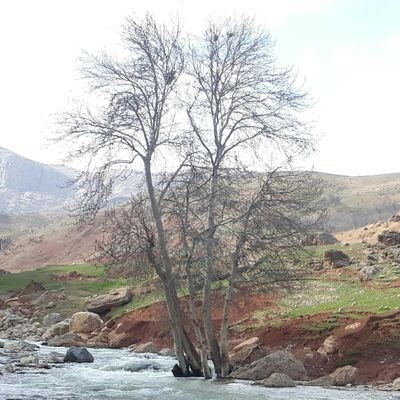 Profile Picture of محسن نوری (@MohsenNouri64) on Twitter