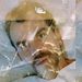 Profile Picture of Gregory Fitzsimmons (@gregoryfitzsimm) on Pinterest