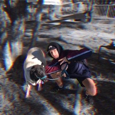 Profile Picture of Jacob Lippold (@jacob_lippold) on Twitter