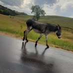 Profile Picture of Brad Casterline (@Brad-Casterline) on Facebook