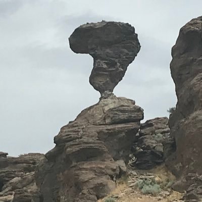 John Billings - Twitter Profile Picture of John Billings (@JohnBillings16) on Twitter