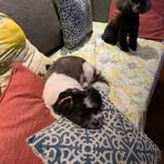 Profile Picture of Randolph Speight (@randolph.speight.77) on Facebook