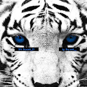 Profile Picture of Bryant Rodriguez (@bryantrodriguez1755) on Youtube