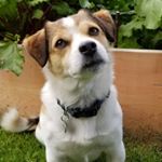 Profile Picture of Janet Coleman (@janet.coleman3) on Instagram