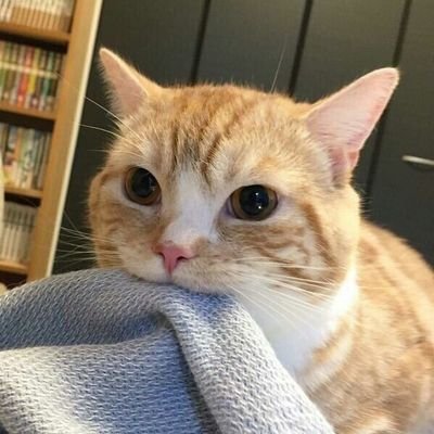 Profile Picture of Khoa Huỳnh (@khoahuynh3005) on Twitter
