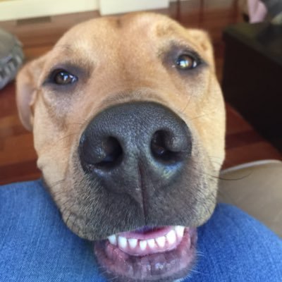 Profile Picture of Jeff Pope (@pope_jeff) on Twitter