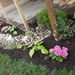 Profile Picture of Andrea Moye (@bus653) on Pinterest