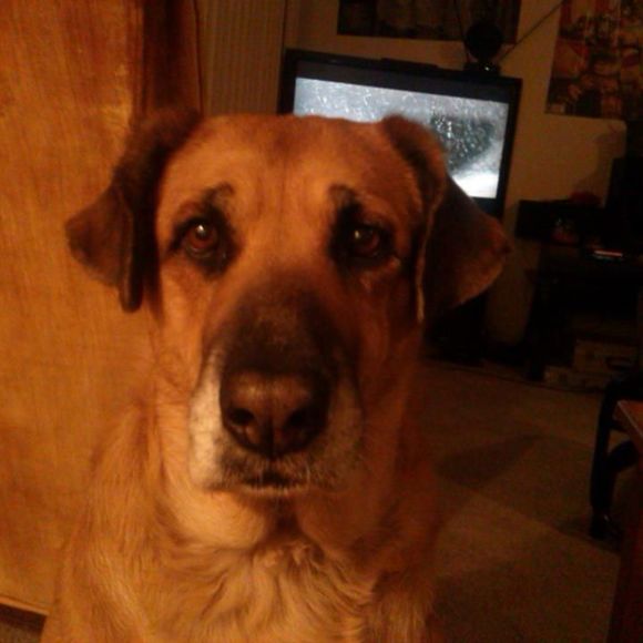 Lynda Townson - Poshmark Profile Picture of Lynda Townson (@kratos570) on Poshmark