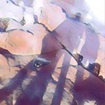 Lai Cho Shing - Instagram Profile Picture of Lai Cho Shing (@lai_cs) on Instagram