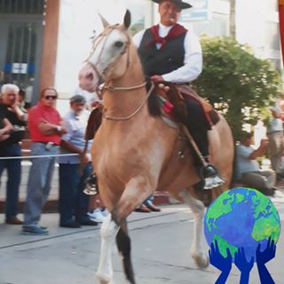 Profile Picture of Alejandro Lafontaine (@alejandro.lafontaine.58) on Facebook