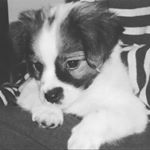 Profile Picture of alex_saez (@alexsaez423) on Instagram