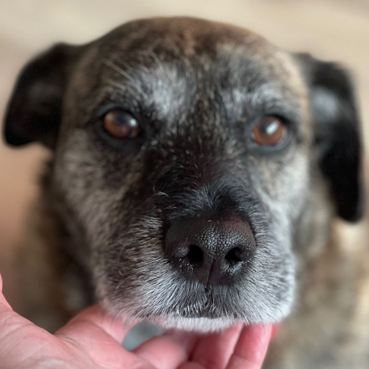 Profile Picture of Deb Mason (@@debmason69) on Tiktok