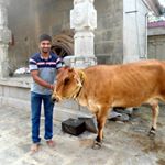 Profile Picture of Sriram Parthasarathy (@sriram_parthasarathi) on Instagram