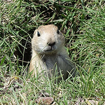 Profile Picture of Damien Phillips (@damienp2) on Flickr