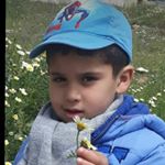 Profile Picture of adamhanin (@adamhanin3) on Instagram