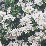 Profile Picture of Roberta Baroni (@robertabar9) on Instagram