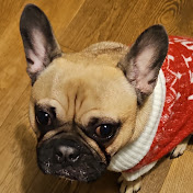 Mark Dukes - Youtube Profile Picture of Mark Dukes (@markdukes4830) on Youtube