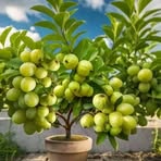 Profile Picture of Mohammad Anwar Islam (@Mohammad-Anwar-Islam) on Facebook