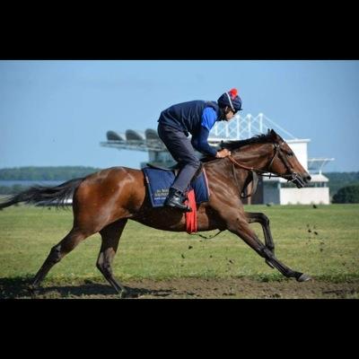 Profile Picture of Edward Telfer (@tipsouthisworld) on Twitter