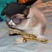 Profile Picture of Zachary Appel (@Zachary-Appel) on Facebook