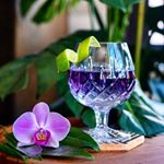 Profile Picture of Nikki Settles (@pretty_potions_n_cocktails) on Instagram