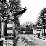 Profile Picture of Paul Kneller (@kneller.paul) on Instagram