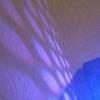 Profile Picture of Devin Barr (@devinbarr0) on Tiktok