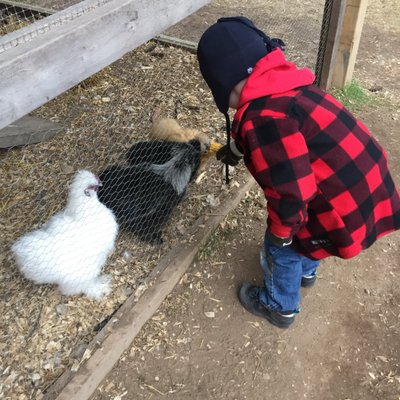 Profile Picture of Trisha Kennedy (@TrishaKennedy) on Twitter