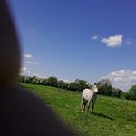 Profile Picture of Tony Mccormack (@tony.mccormack.7140) on Instagram