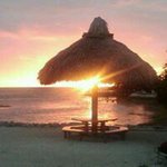 Profile Picture of Michael Hirschmann (@michaelhirschmann) on Instagram