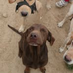 Profile Picture of Viki Malínská (@Viki-Malínská) on Facebook