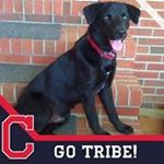 Profile Picture of Joy Reeves (@joycreeves) on Instagram