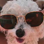 Profile Picture of Alba💎🎤 (@alba_scottini) on Instagram