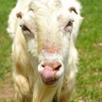 Profile Picture of Tina Lynn (@tina-lynn-1) on Quora