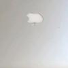 Profile Picture of Roberto Basque (@roberto.basque) on Tiktok
