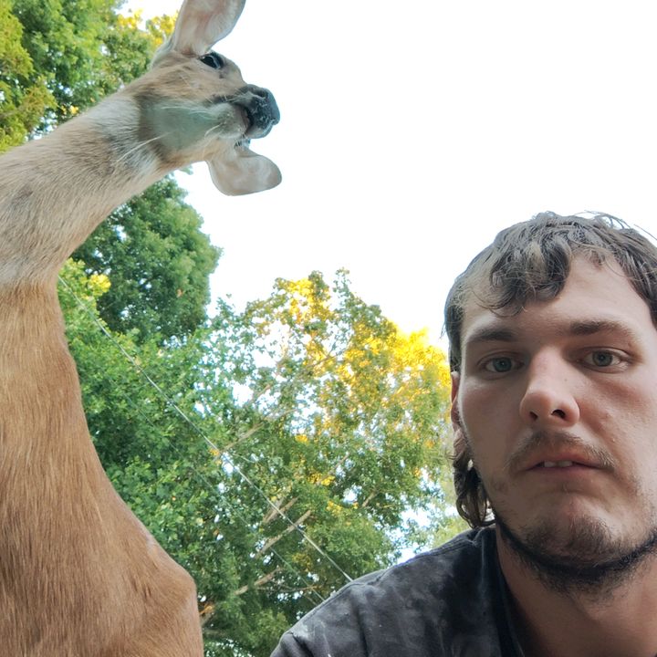 Profile Picture of Patrick Nelms (@patricknelms1) on Tiktok