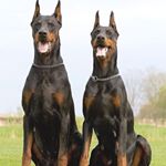 Profile Picture of Andrew Bagnato (@andrewbagnato) on Instagram