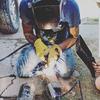 Profile Picture of Ryan Graf (@@ryangraf5) on Tiktok