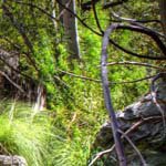 Profile Picture of Wade_Richardson (@wade_richardsond) on Instagram