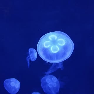 Profile Picture of Johnathon Matson (@johnathonmatson) on Instagram