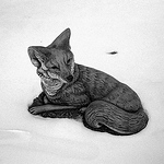 Profile Picture of Jonathan Dueck (@intransit) on Flickr