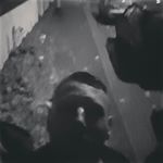 Profile Picture of Michael Harig (@michaelharig) on Instagram
