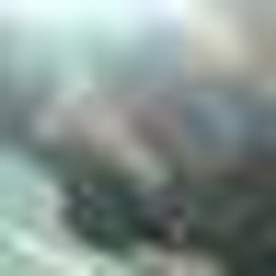 Profile Picture of Jazmyn Johnson (@diamondXdiva19) on Twitter