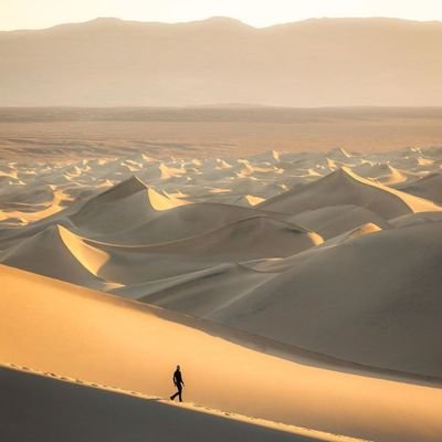 Profile Picture of Amr3azim (@amr3azim1) on Twitter