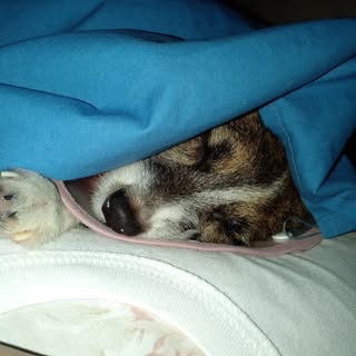 Profile Picture of Ivy Dela Pena (@ivyrdpena) on Instagram